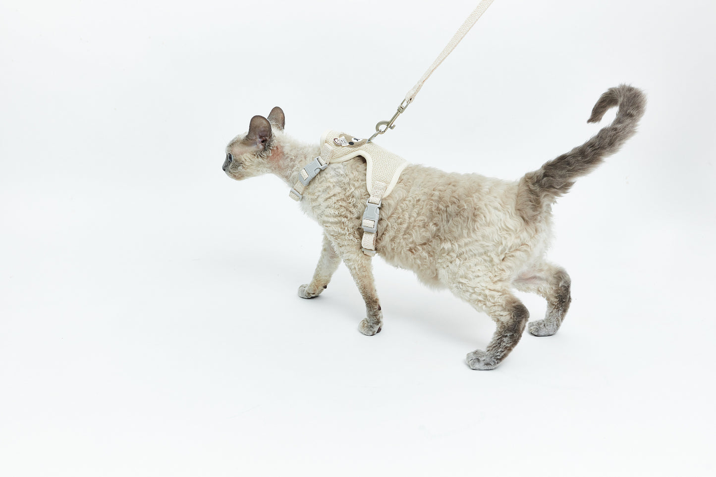 Leash with teddy bear - LáskaKočičí.cz
