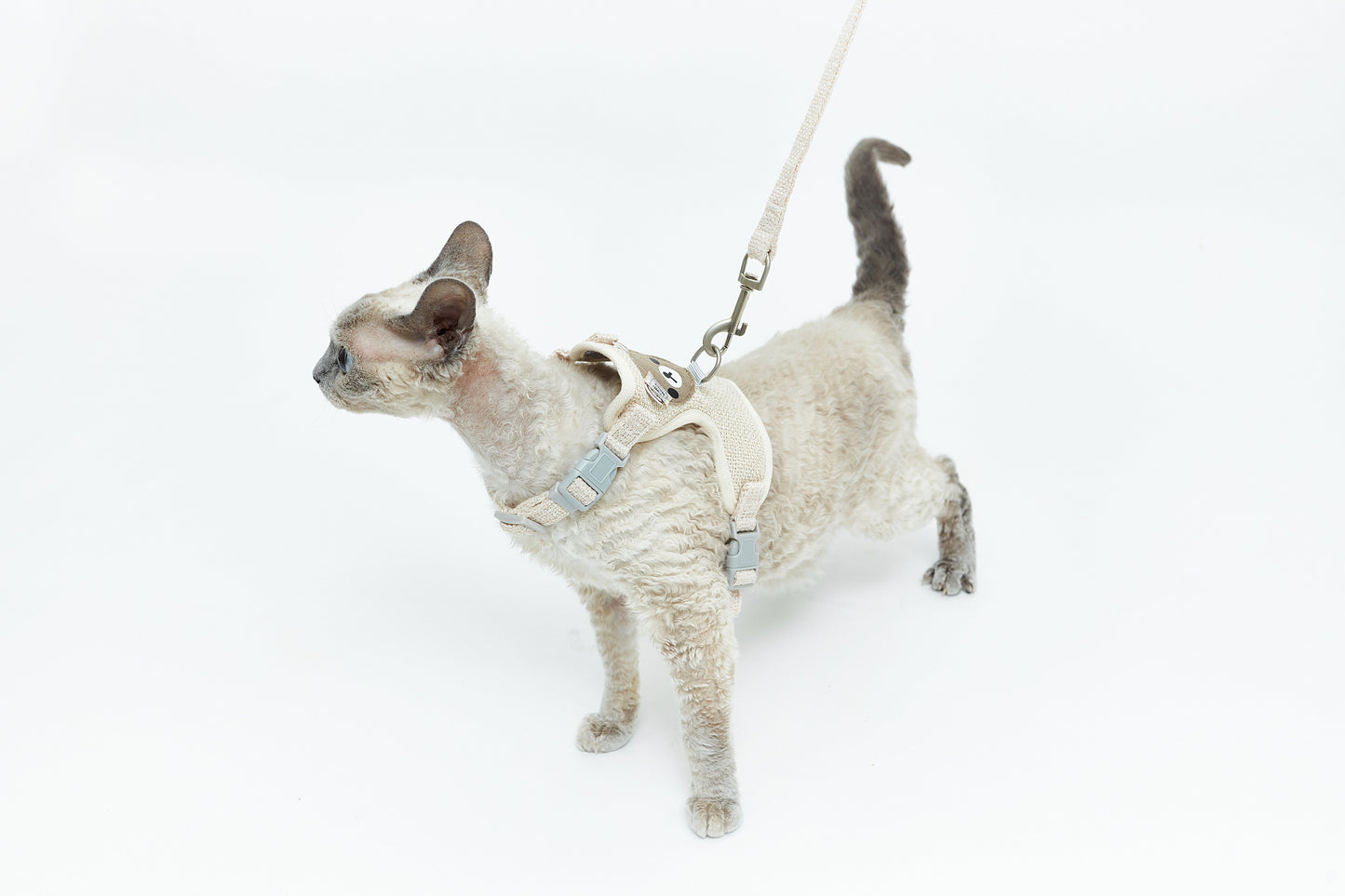 Leash with teddy bear - LáskaKočičí.cz