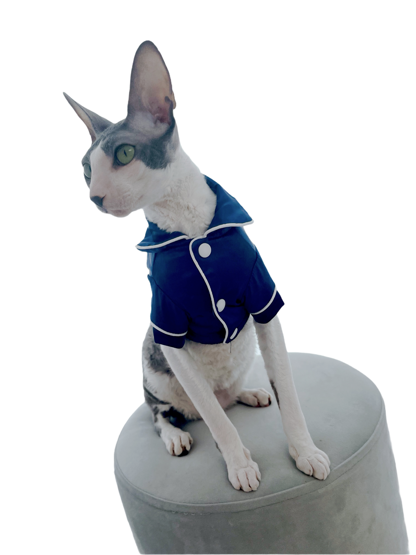 Satin-Mieder für Hunde oder Katzen