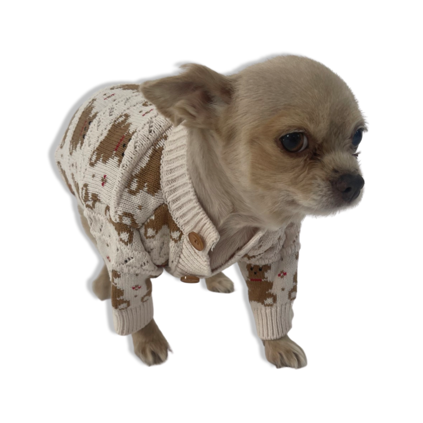 Pullover mit Teddybären