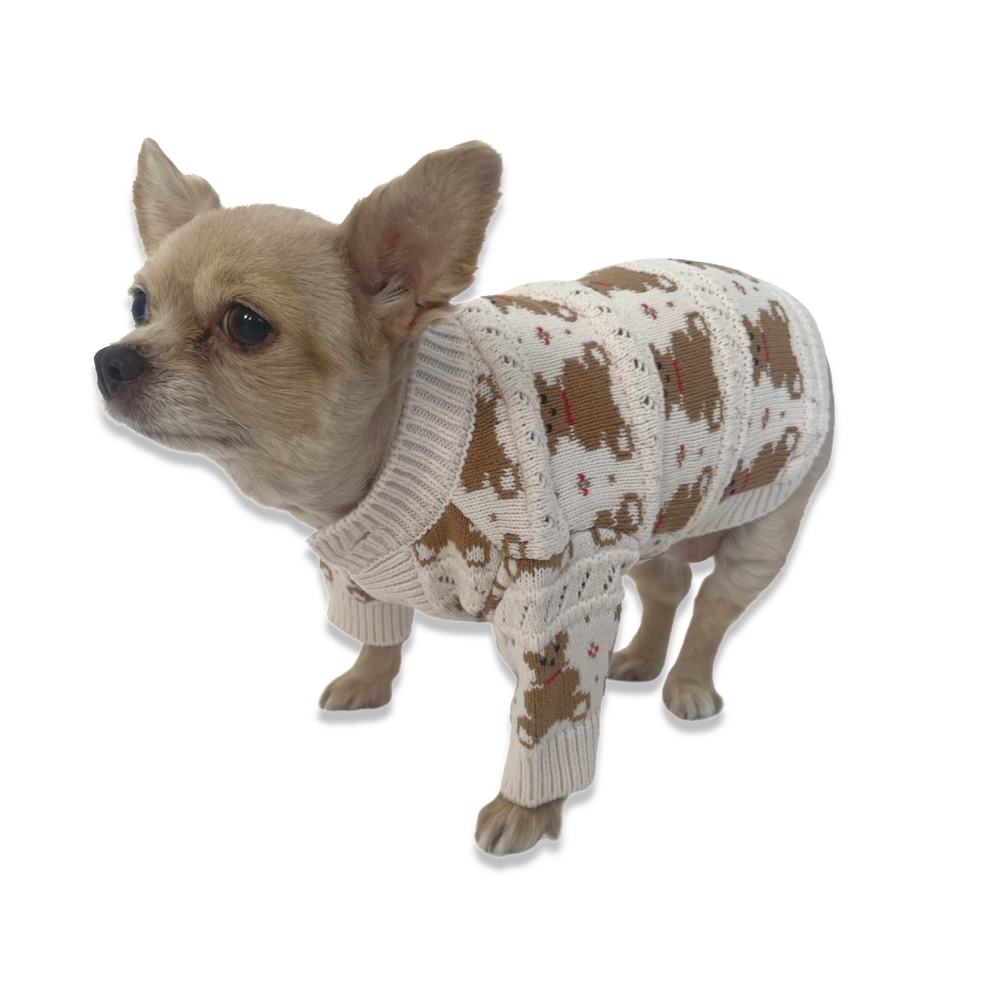 Pullover mit Teddybären