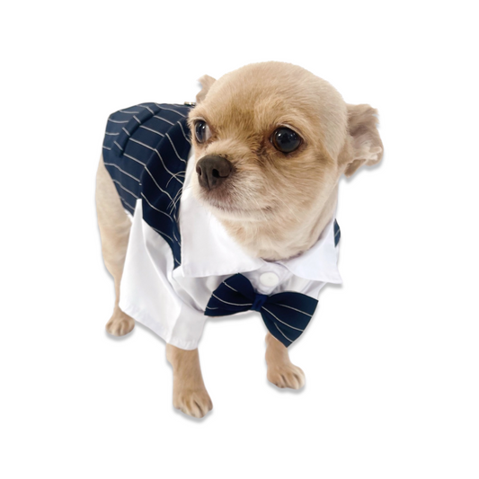 Formal attire