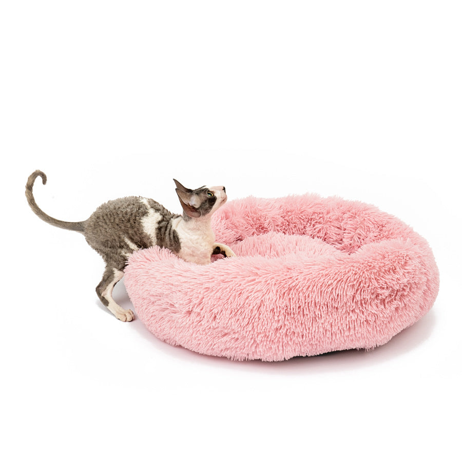 Donut bed