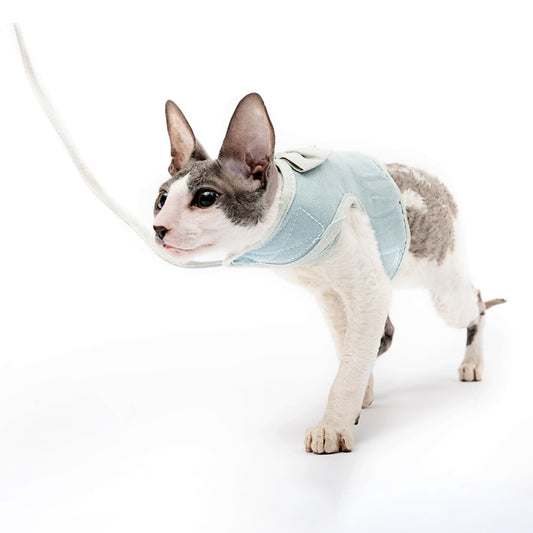 Leash Blue