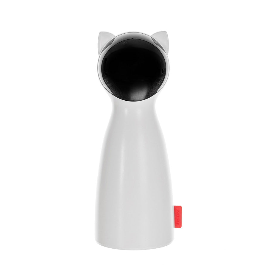 Cat laser