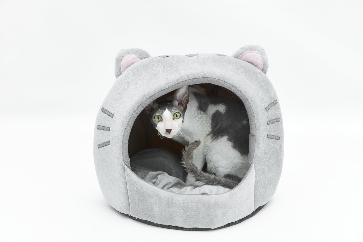 Cat bed - kitty