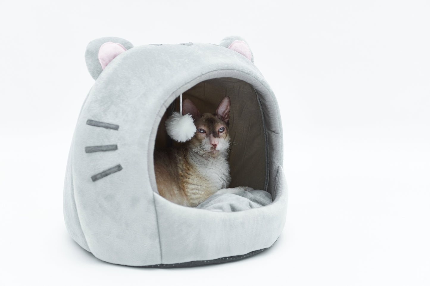 Cat bed - kitty