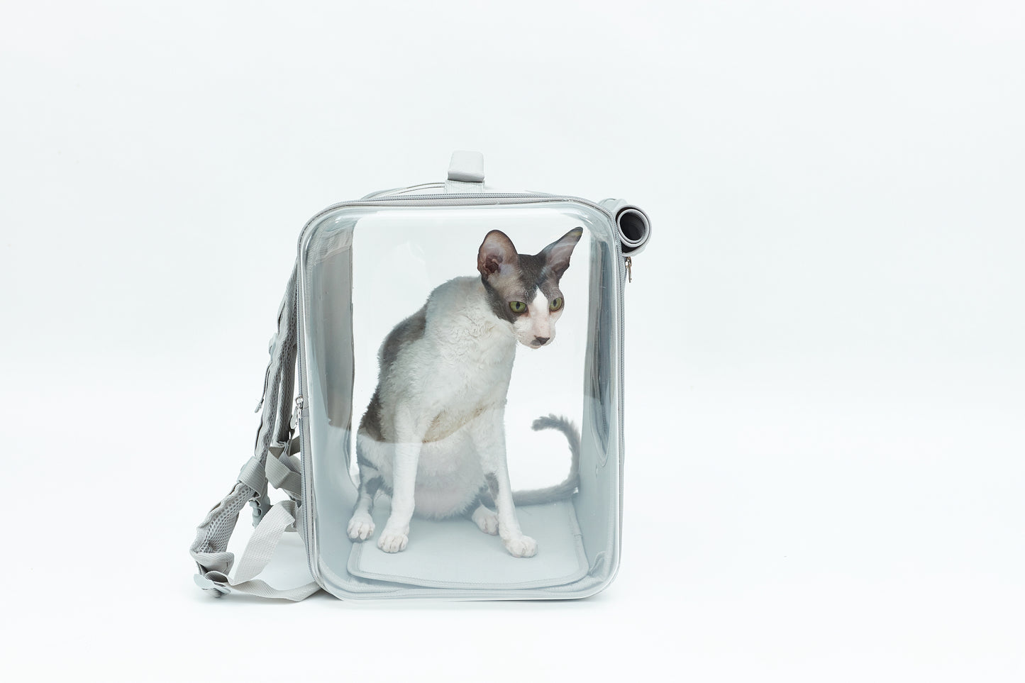 Cat carrier - backpack