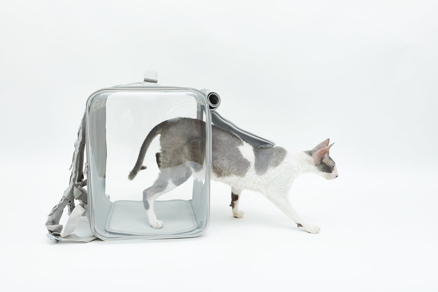 Cat carrier - backpack
