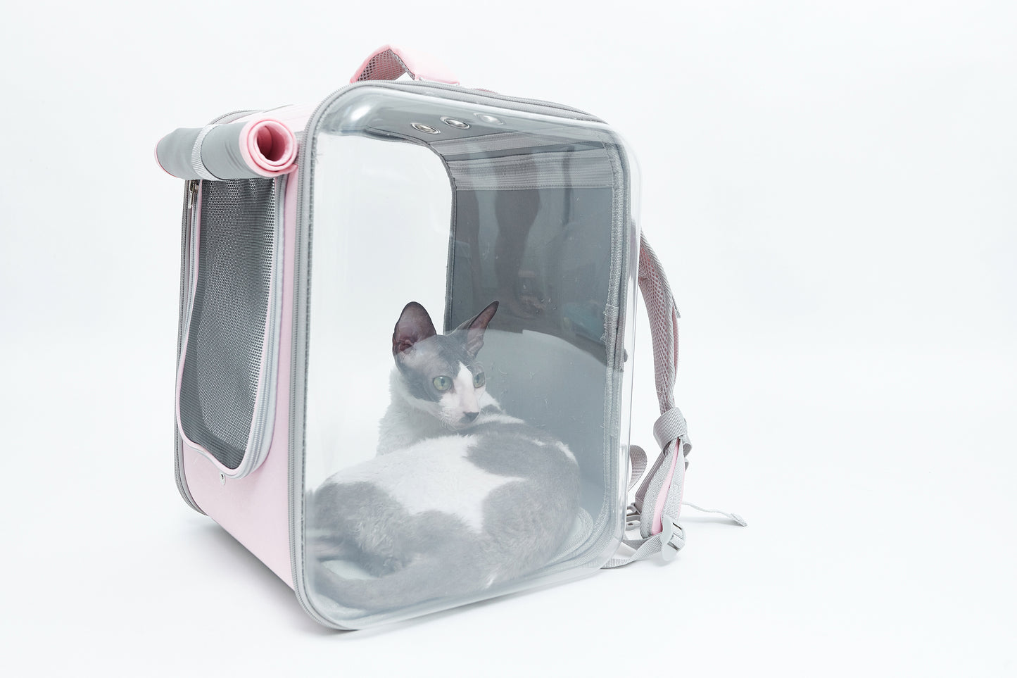 Cat carrier - backpack