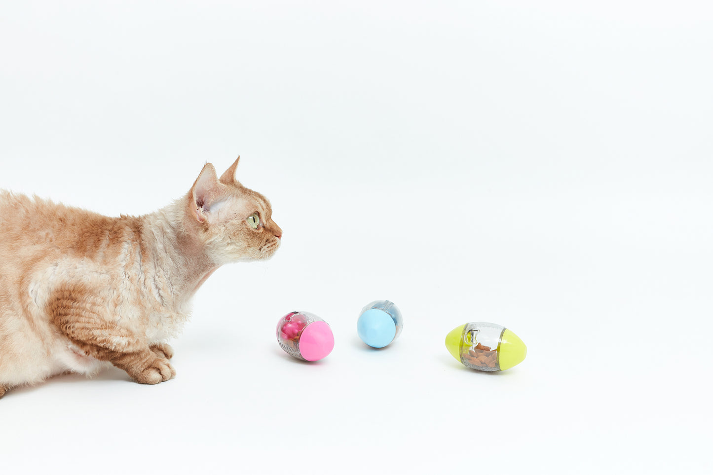 Dreams toy - egg