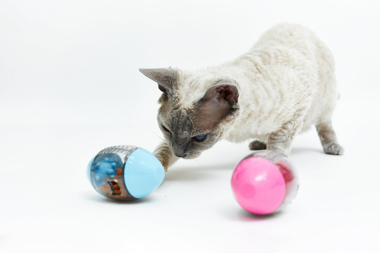 Dreams toy - egg