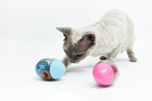 Dreams toy - egg