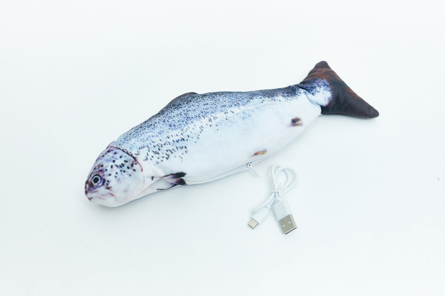 Trockener Fisch mit einer Tüte Shanty