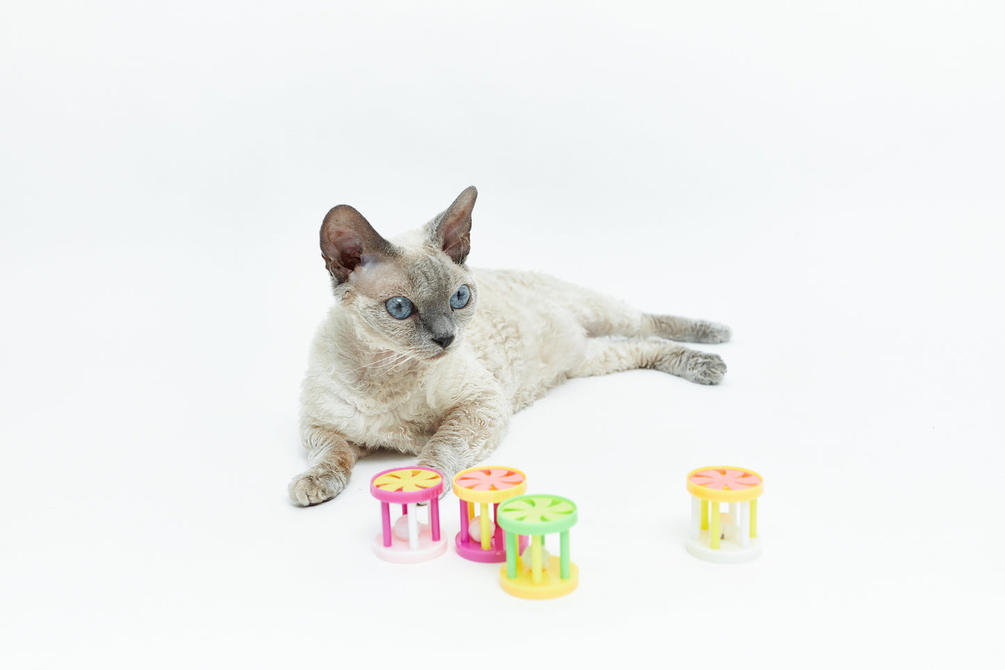 Rattle for cats - LáskaKočičí.cz