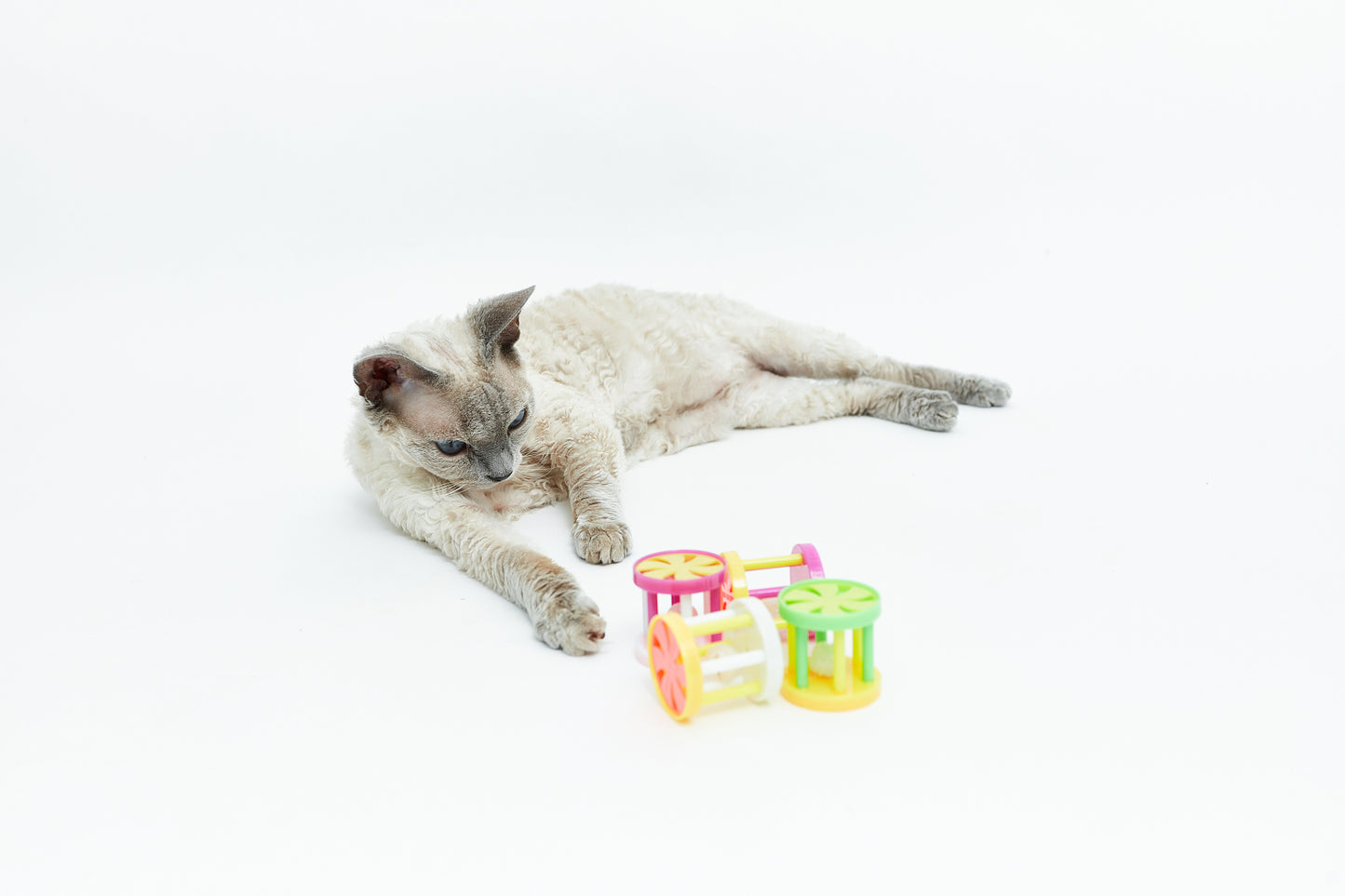 Rattle for cats - LáskaKočičí.cz