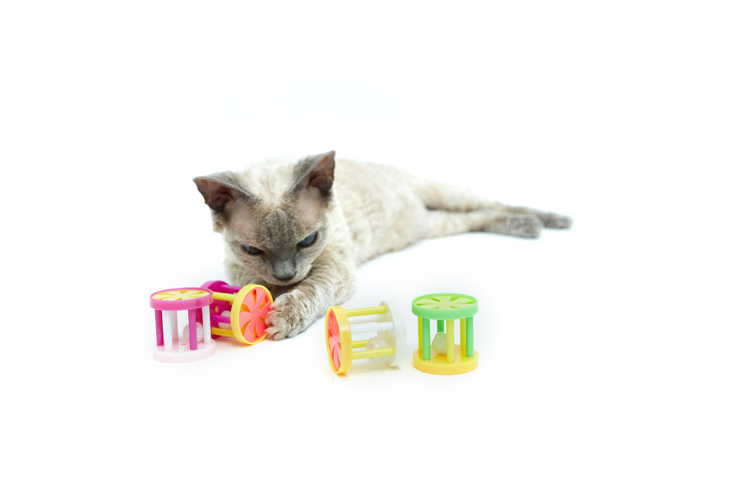 Rattle for cats - LáskaKočičí.cz