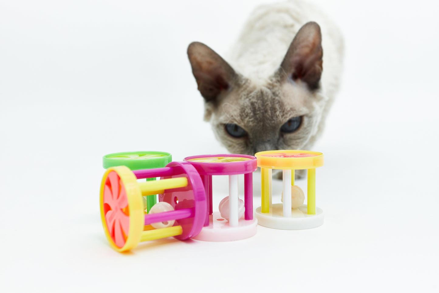 Rattle for cats - LáskaKočičí.cz