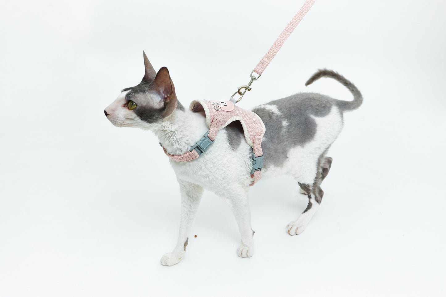 Leash with teddy bear - LáskaKočičí.cz