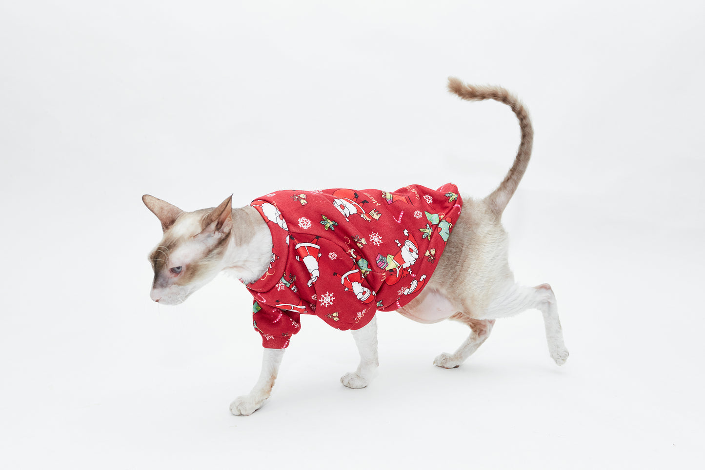 Weihnachts-Outfit - LáskaKočičí.cz