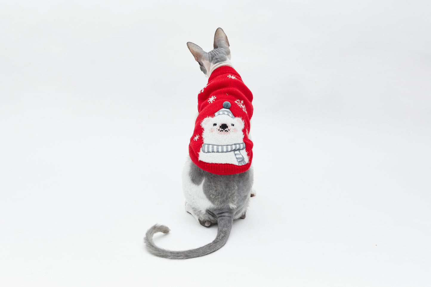 Weihnachtspulli mit Eisbär - LáskaKočičí.cz