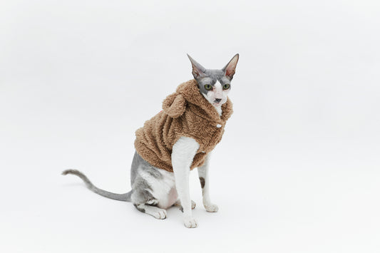 Warm sweatshirt with teddy bear
