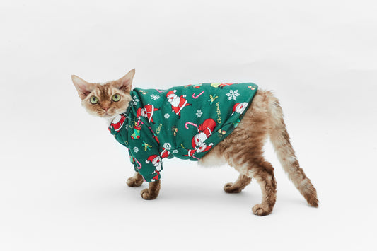 Christmas outfit - LáskaKočičí.cz