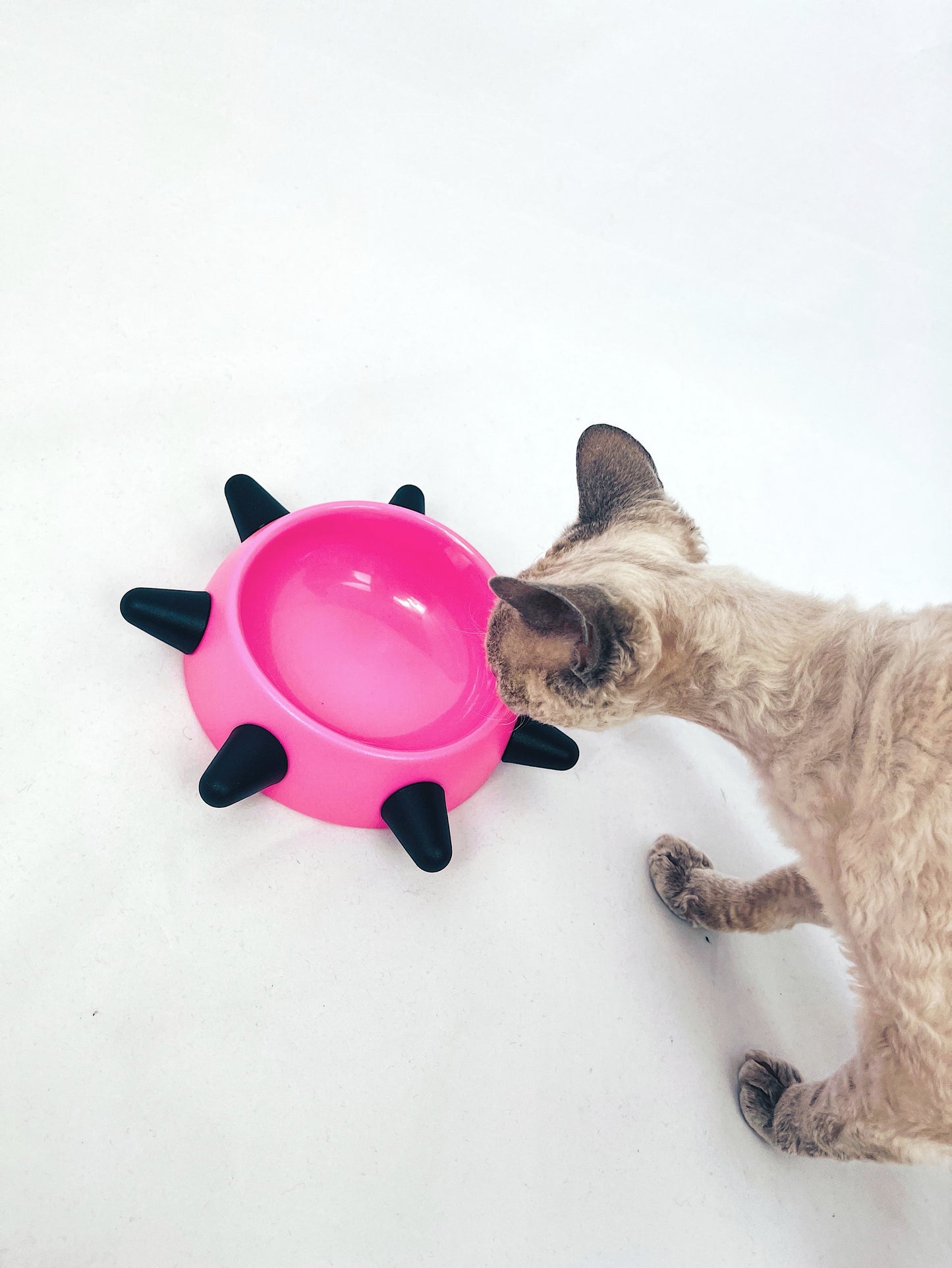 Flinstone bowl