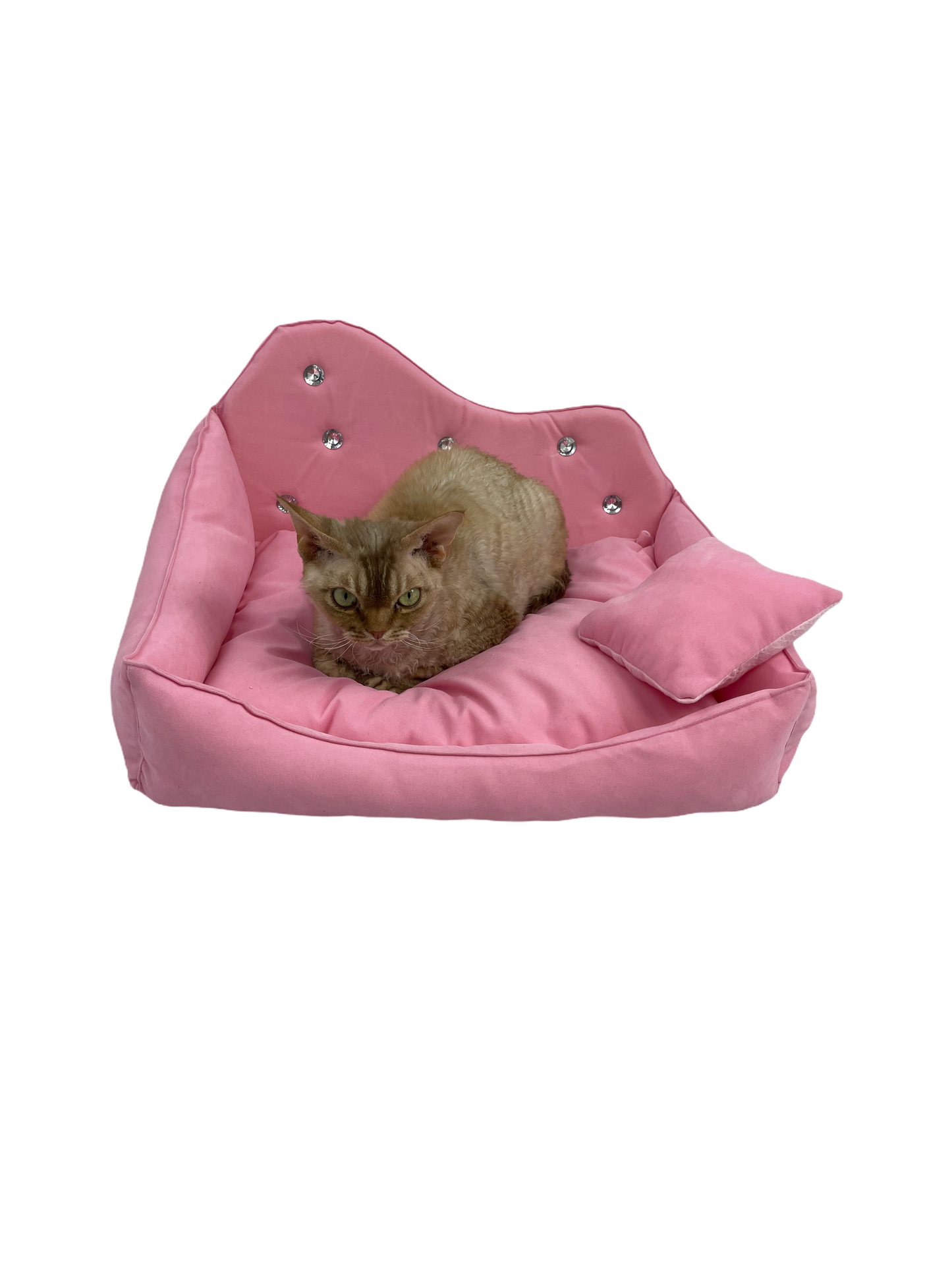 Royal bed