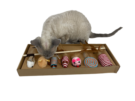 Set of toys made of natural materials