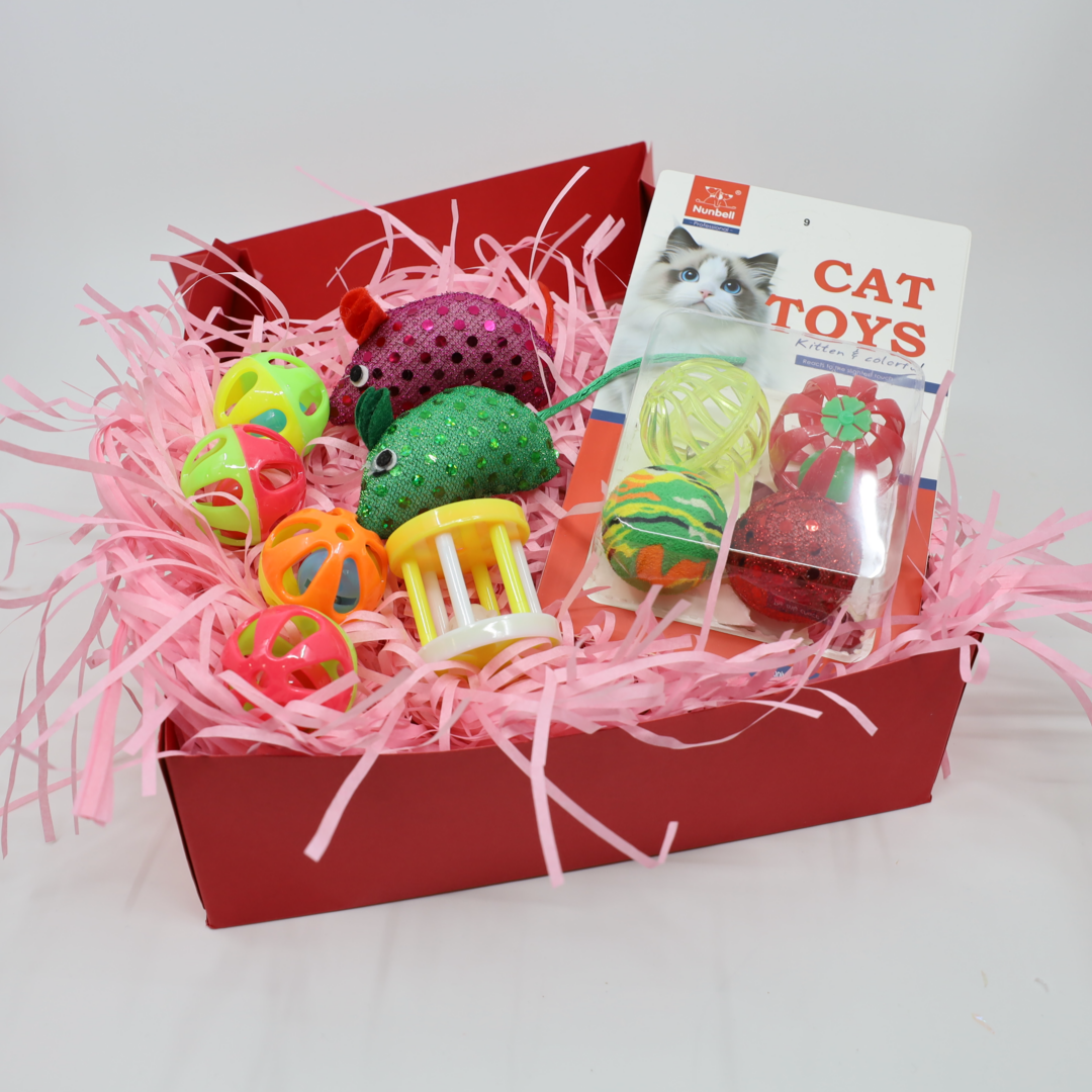 Dárková sada kočičích hraček