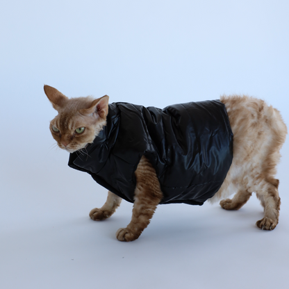 Luxusní zimní bunda pro psy a kočky THE DOG FACE