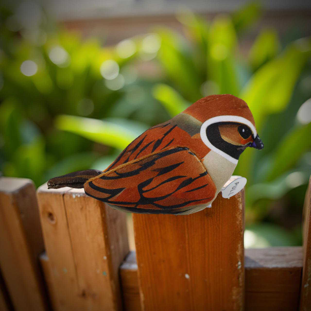 Zvuková hračka pro kočky – realistický ptáček se zvukem