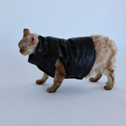 Luxusní zimní bunda pro psy a kočky THE DOG FACE