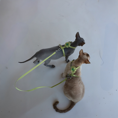 Postroj s vodítkem pro kočky Mint Blossom – bezpečný, nastavitelný a stylový