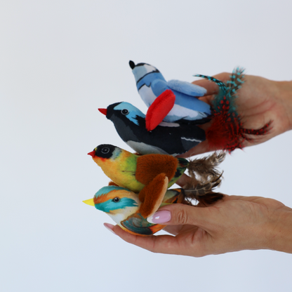 Malý zpívající ptáček – zvuková hračka pro kočky