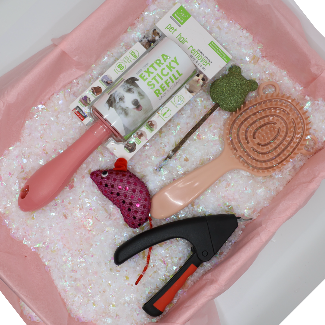 Vánoční dárková sada - Kočičí – pro krátkosrsté elegány