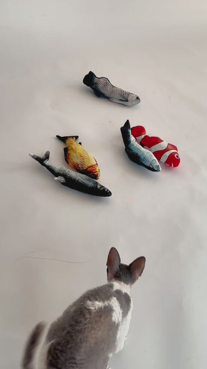 Trockener Fisch mit einer Tüte Shanty