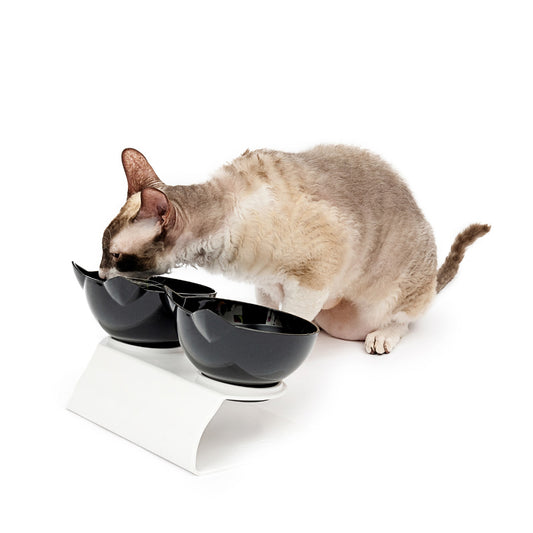 Schalen in Form eines Katzenkopfes - Set