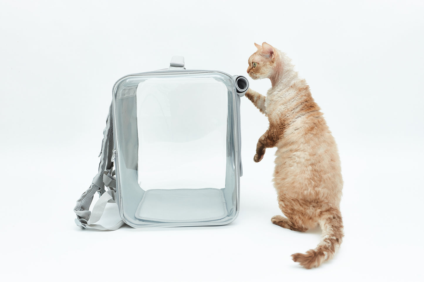 Cat carrier - backpack