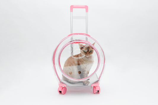 Crate on wheels
