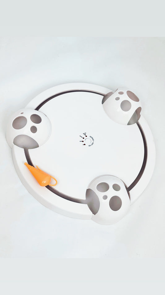 Mouse in a house
